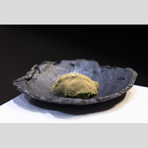 ChefAlps Philip Rachinger 2019