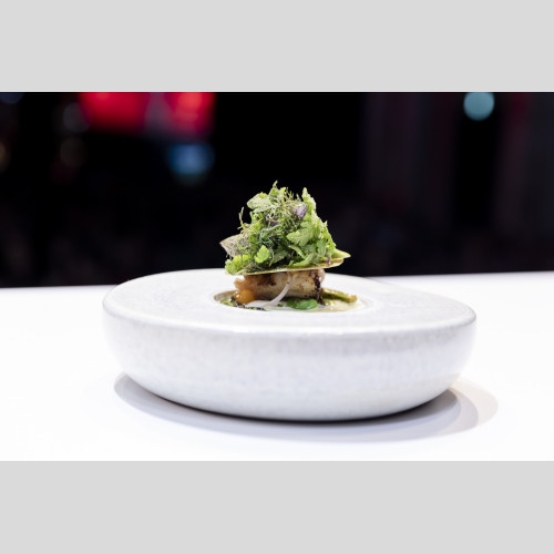 ChefAlps Syrco Bakker 2019